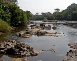 Three rivers Ituri, Nepoko, and Epulu cross through the reserve. Also, it is overlooked by Mbiya Mountain Three rivers Ituri, Nepoko, and Epulu cross through the reserve. Also, it is overlooked by Mbiya Mountain.